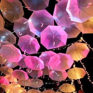 Meet your Posher, Earlyn